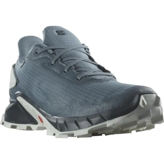 Кроссовки Salomon Alphacross 4 GTX L47116800