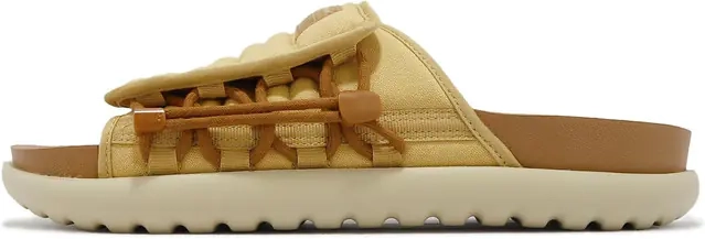 Тапочки Nike Asuna 2 Slide DX6865-700 фото 1 — интернет-магазин Tapok