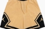 Шорты Air Jordan Dri-Fit Woven Diamond Short FB7580-734 Фото 1