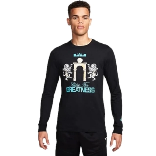 Футболка с длинным рукавом NIKE Lebron FQ4908-010