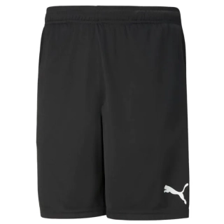 Шорты спортивные Puma 657336-0348/50 657336-03
