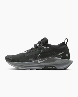 Кроссовки Nike W PEGASUS TRAIL 5 GTX FQ0912-001