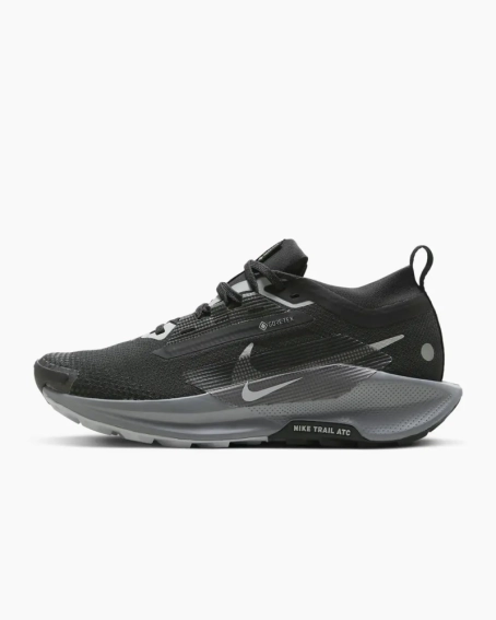 Кроссовки Nike W PEGASUS TRAIL 5 GTX FQ0912-001 фото 1 — интернет-магазин Tapok