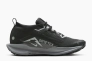 Кроссовки Nike W PEGASUS TRAIL 5 GTX FQ0912-001 Фото 3