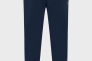 Брюки спортивные Arena BRUSHED STRAIGHT PANT 007698-700 Фото 1