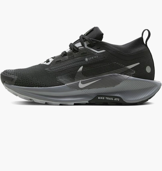 Кроссовки Nike Pegasus Trail 5 Gore-Tex Black FQ0912-001 фото 1 — интернет-магазин Tapok