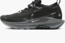 Кроссовки Nike Pegasus Trail 5 Gore-Tex Black FQ0912-001 Фото 1