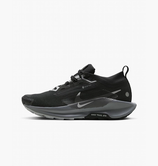 Кроссовки Nike Pegasus Trail 5 Gore-Tex Black FQ0912-001 фото 2 — интернет-магазин Tapok