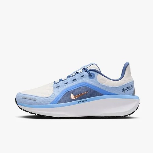 Кроссовки Nike W AIR WINFLO 11 GTX FQ1359-002 фото 1 — интернет-магазин Tapok