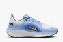 Кроссовки Nike W AIR WINFLO 11 GTX FQ1359-002 Фото 3
