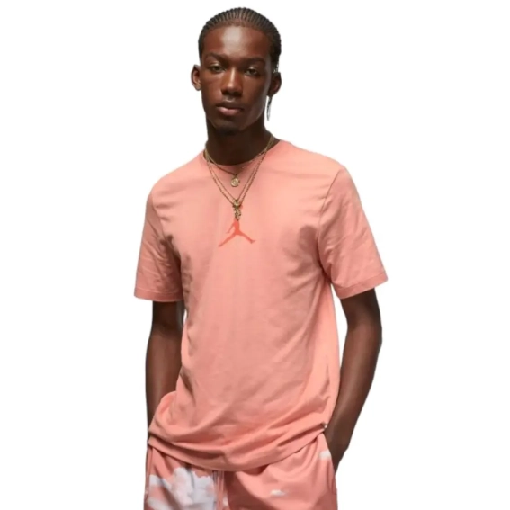 Футболка JORDAN MJ JUMPMAN DF SS CREW CW5190-824 фото 1 — интернет-магазин Tapok