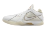Кроссовки Nike Zoom KD 3 DZ3009-100 Фото 1