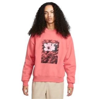 Свитшот Nike Sb Fleece Skate DV9032-655