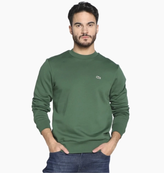 Кофта Lacoste Logo Sweatshirt green SH9608 51 SMI фото 1 — интернет-магазин Tapok