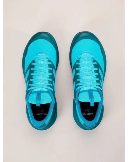 Кросівки ARC'TERYX Norvan LD 3 GTX Shoe Blue Tetra/Pytheas X000006998 фото 5 — інтернет-магазин Tapok