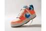 Кроссовки Nike Dunk Low Disrupt CK6654-104 Фото 5