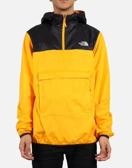 Куртка TNF Storm jacket NF0A3FZLTSF фото 1 — интернет-магазин Tapok