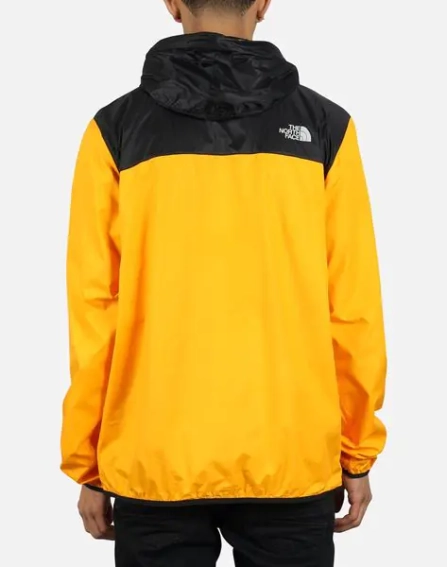 Куртка TNF Storm jacket NF0A3FZLTSF фото 2 — интернет-магазин Tapok