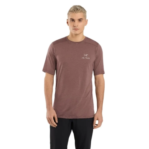 Футболка Arcteryx lonia Merino Wool Arc&#39;Word SS Men&#39;s in Brown L08527200 фото 1 — интернет-магазин Tapok