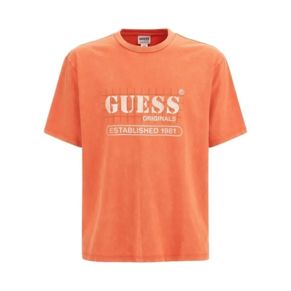 Футболка GUESS Originals Washed Grid Logo Tee M3GI31K9XF3 фото 2 — интернет-магазин Tapok