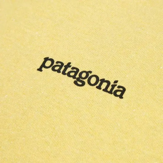 Футболка Patagonia m&#39;s fitz roy horizons responsibili tee 38501 SUYE фото 3 — интернет-магазин Tapok