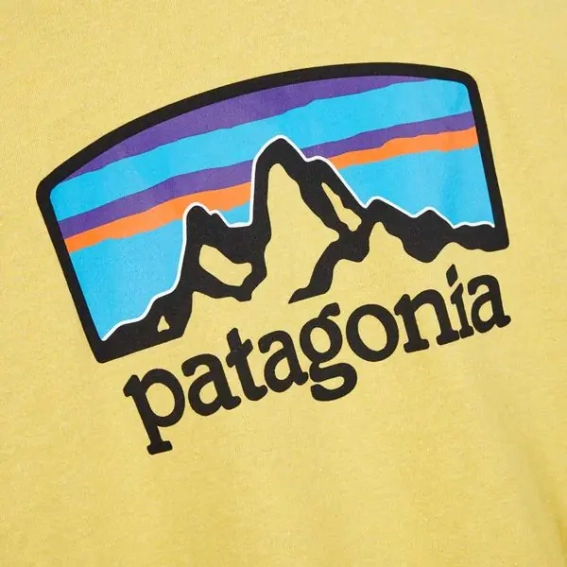 Футболка Patagonia m&#39;s fitz roy horizons responsibili tee 38501 SUYE фото 4 — интернет-магазин Tapok