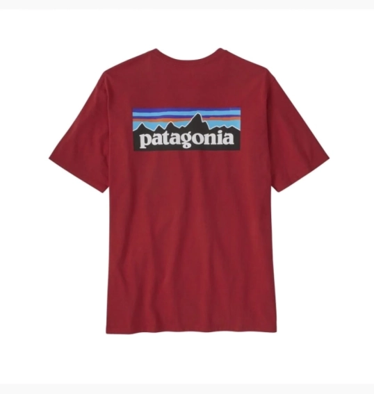 Футболка Patagonia P-6 Logo Responsibili-Tee T-Shirt Red 38504TGRD фото 2 — інтернет-магазин Tapok