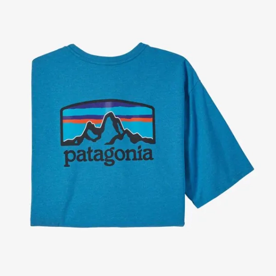 Футболка Patagonia tee 38501 APBL фото 2 — интернет-магазин Tapok