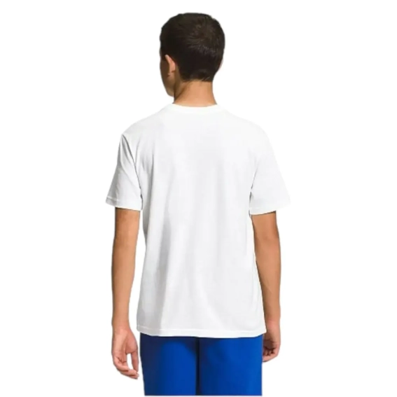 Футболка THE NORTH FACE GRAPHIC T-SHIRT NF0A82T8-VK91 фото 3 — інтернет-магазин Tapok