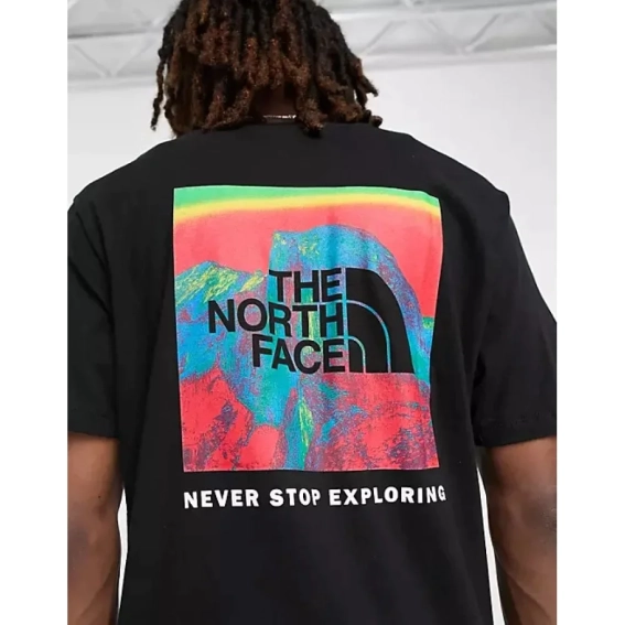 Футболка The North Face M SS PRNTD NF0A7ZWI9L51 фото 2 — интернет-магазин Tapok