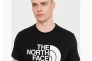Футболка TNF Футболка фіолет NF0A812HLK31 Фото 3