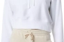 Худі Hooded sweatshirt New Balance Essentials WT21509 WT Фото 1