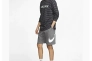 Шорты Nike Mens Graphic Shorts Grey BV2721-071 Фото 2