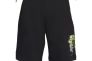 Шорты Nike Sportswear Men&#39;s Fleece Embroidered Graphic Shorts (Black) DV0055-010 Фото 1