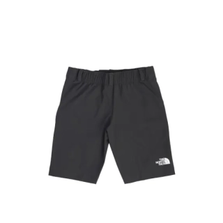 Шорты North Face Shorts NF0A8212173