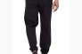 Брюки Patagonia P-6 Label Uprisal Sweatpants 26051BLK Фото 2