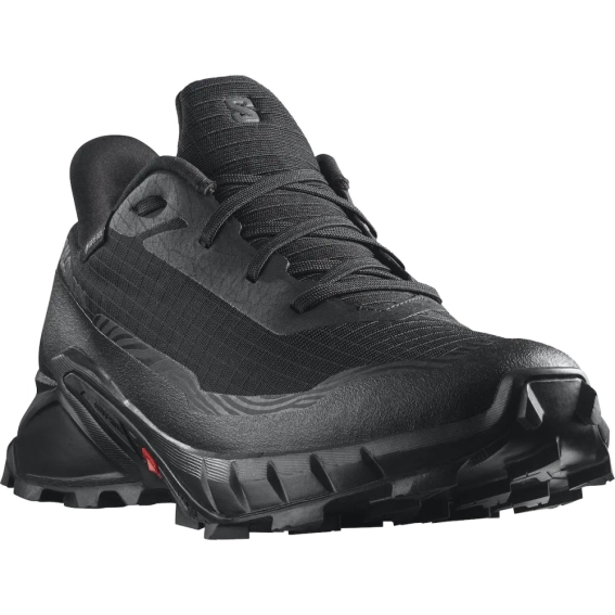 Кроссовки мужские Salomon Alphacross 5 Gore-Tex (L47307500) фото 1 — интернет-магазин Tapok