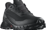Кроссовки мужские Salomon Alphacross 5 Gore-Tex (L47307500) Фото 1