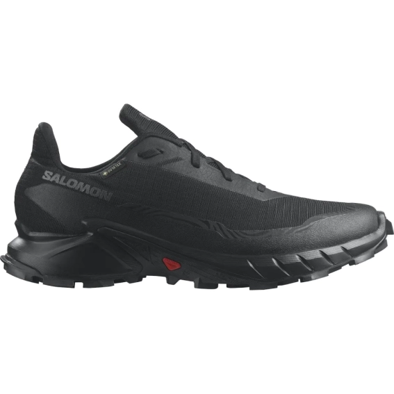 Кроссовки мужские Salomon Alphacross 5 Gore-Tex (L47307500) фото 3 — интернет-магазин Tapok