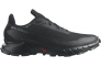 Кроссовки мужские Salomon Alphacross 5 Gore-Tex (L47307500) Фото 3