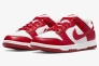 Кросівки Nike Dunk Low Next Nature DN1431-101 Фото 1