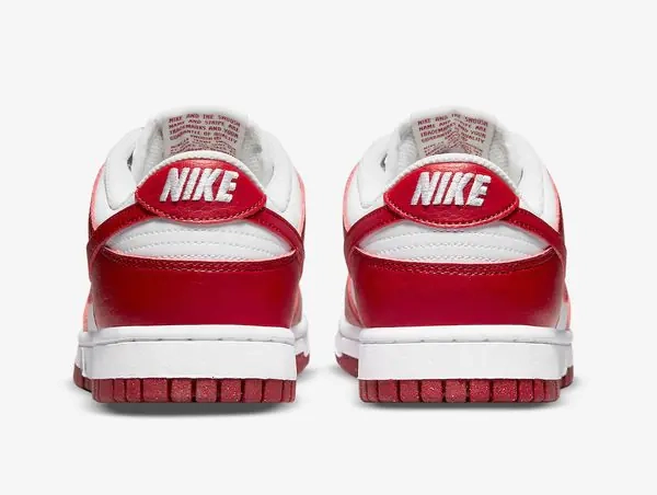Кросівки Nike Dunk Low Next Nature DN1431-101 фото 6 — інтернет-магазин Tapok
