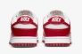 Кросівки Nike Dunk Low Next Nature DN1431-101 Фото 6