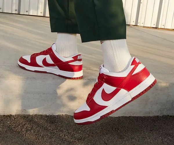 Кросівки Nike Dunk Low Next Nature DN1431-101 фото 10 — інтернет-магазин Tapok