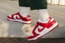 Кросівки Nike Dunk Low Next Nature DN1431-101 Фото 10
