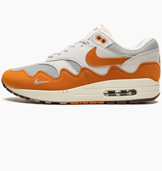 Кроссовки Nike Air Max 1 Patta Waves Monarch DH1348-001 фото 1 — интернет-магазин Tapok