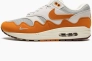 Кроссовки Nike Air Max 1 Patta Waves Monarch DH1348-001 Фото 1