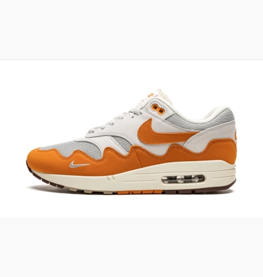 Кроссовки Nike Air Max 1 Patta Waves Monarch DH1348-001 фото 2 — интернет-магазин Tapok
