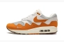 Кроссовки Nike Air Max 1 Patta Waves Monarch DH1348-001 Фото 2
