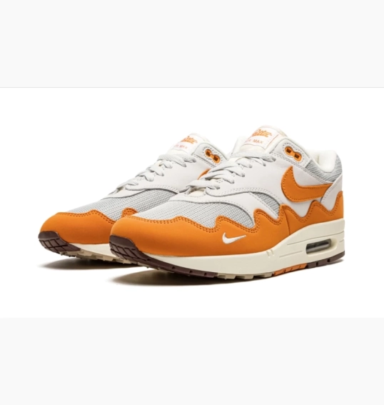 Кроссовки Nike Air Max 1 Patta Waves Monarch DH1348-001 фото 3 — интернет-магазин Tapok